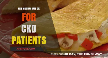 Mushrooms and CKD: What You Need to Know