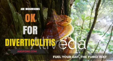 Mushrooms and Diverticulitis: A Safe Combination?