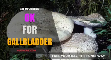 Mushrooms and Gallbladder: A Healthy Pairing?