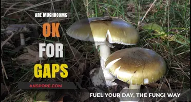 Mushrooms: Friend or Foe on GAPS Diet?