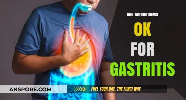 Mushrooms and Gastritis: What You Need to Know