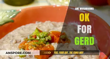 Mushrooms and GERD: Safe or Not?