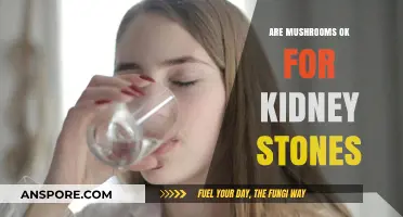 Mushrooms and Kidney Stones: A Safe Combo?