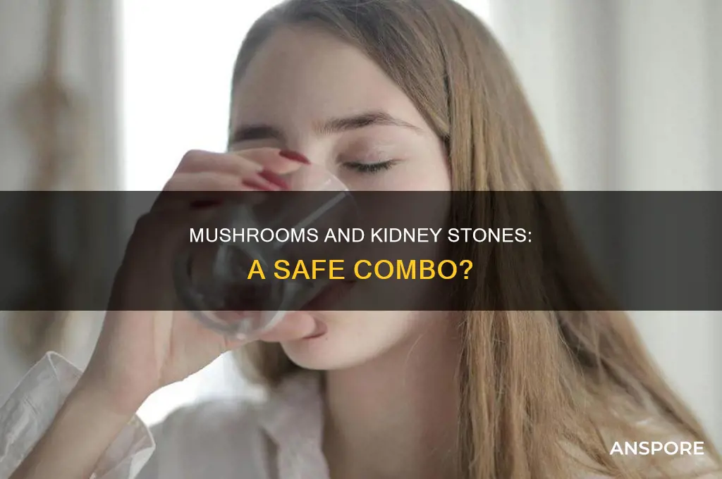 are mushrooms ok for kidney stones