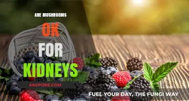 Mushrooms and Kidney Health: A Safe Combo?