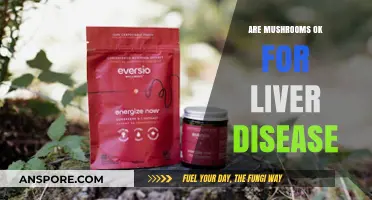 Mushrooms and Liver Disease: A Safe Combination?