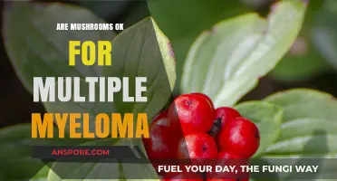 Mushrooms and Multiple Myeloma: A Safe Combination?