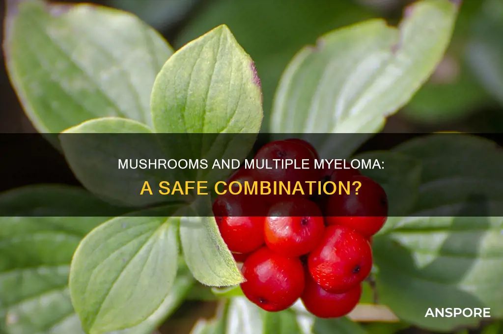 are mushrooms ok for multiple myeloma