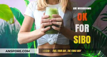 Mushrooms and SIBO: Friend or Foe?