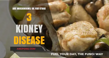 Mushrooms and Kidney Disease: What's the Verdict?