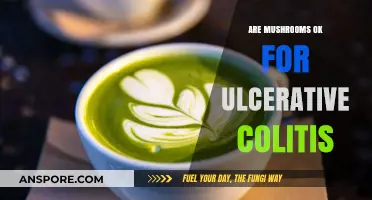 Mushrooms and Ulcerative Colitis: Friend or Foe?