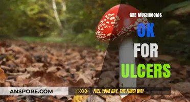 Mushrooms and Ulcers: A Safe Combo?