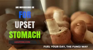 Mushrooms: Friend or Foe for Upset Stomachs?