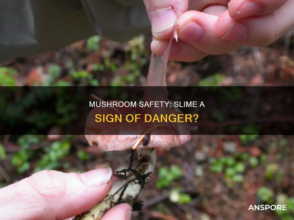 are mushrooms ok if slimy