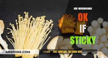 Mushroom Stickiness: Is it Safe to Eat?