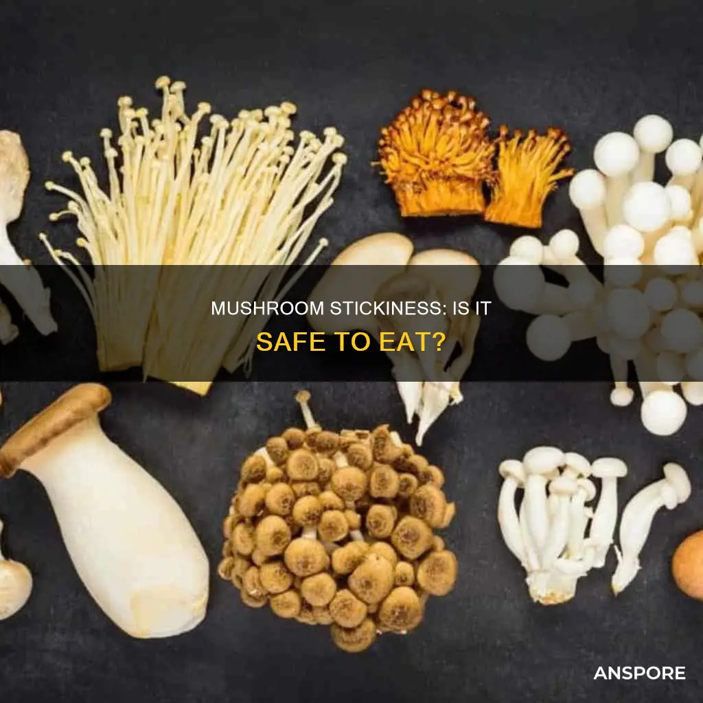 are mushrooms ok if sticky