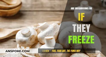 Freezing Mushrooms: Safe or Not?