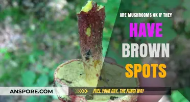 Brown Spots on Mushrooms: Safe or Not?
