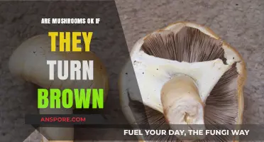 Mushroom Browning: Safe or Not?