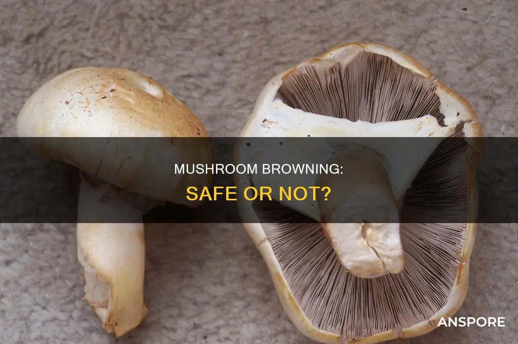 are mushrooms ok if they turn brown