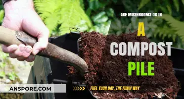 Mushrooms in Compost: Friend or Foe?