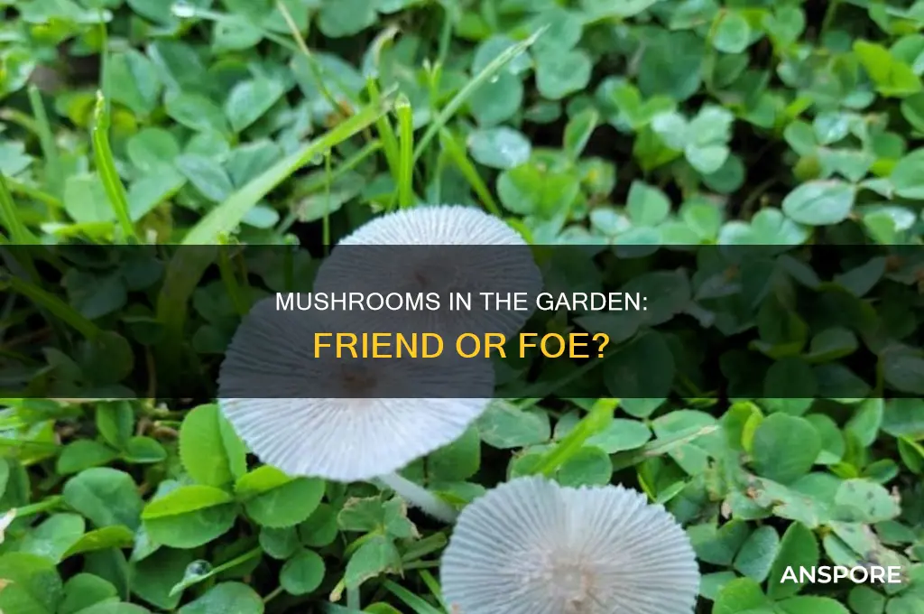 are mushrooms ok in the garden