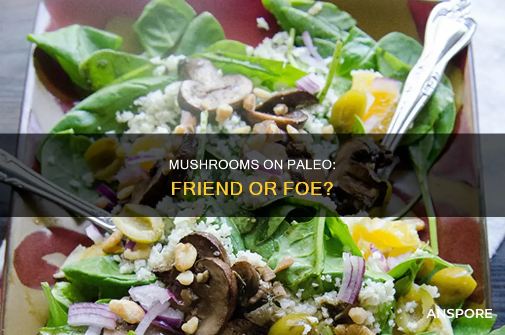 are mushrooms ok on paleo diet