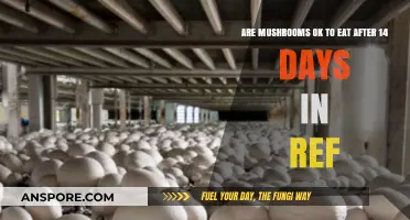 Can You Safely Eat Refrigerated Mushrooms After 14 Days?