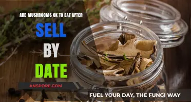 Can You Safely Eat Mushrooms Past Their Sell-By Date?