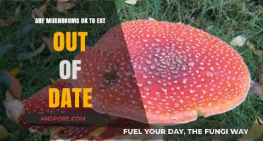 Can You Safely Eat Expired Mushrooms? A Fungal Food Guide