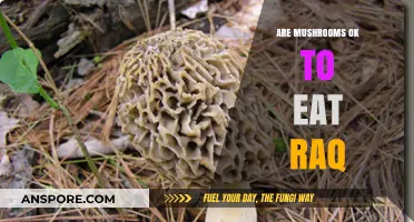 Are Mushrooms Safe to Eat? A Comprehensive Guide to Edible Varieties