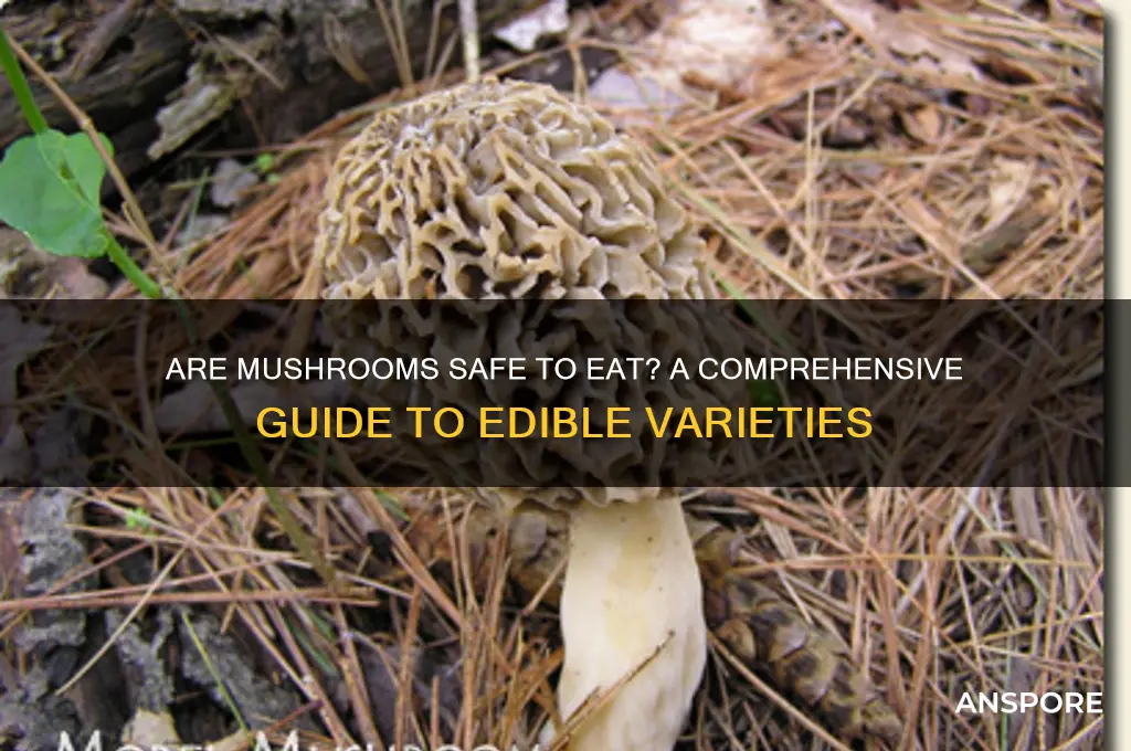 are mushrooms ok to eat raq