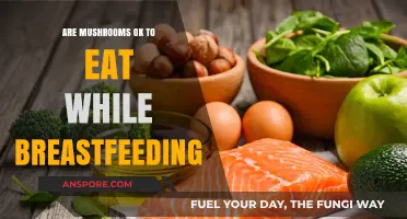Breastfeeding and Mushrooms: Safe to Eat or Best Avoided?