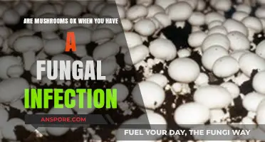 Mushrooms and Fungal Infections: Safe or Not?