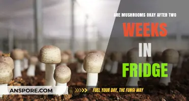 Mushroom Fridge Life: How Long is Too Long?