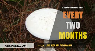 Mushroom Consumption: Healthy or Hazardous?