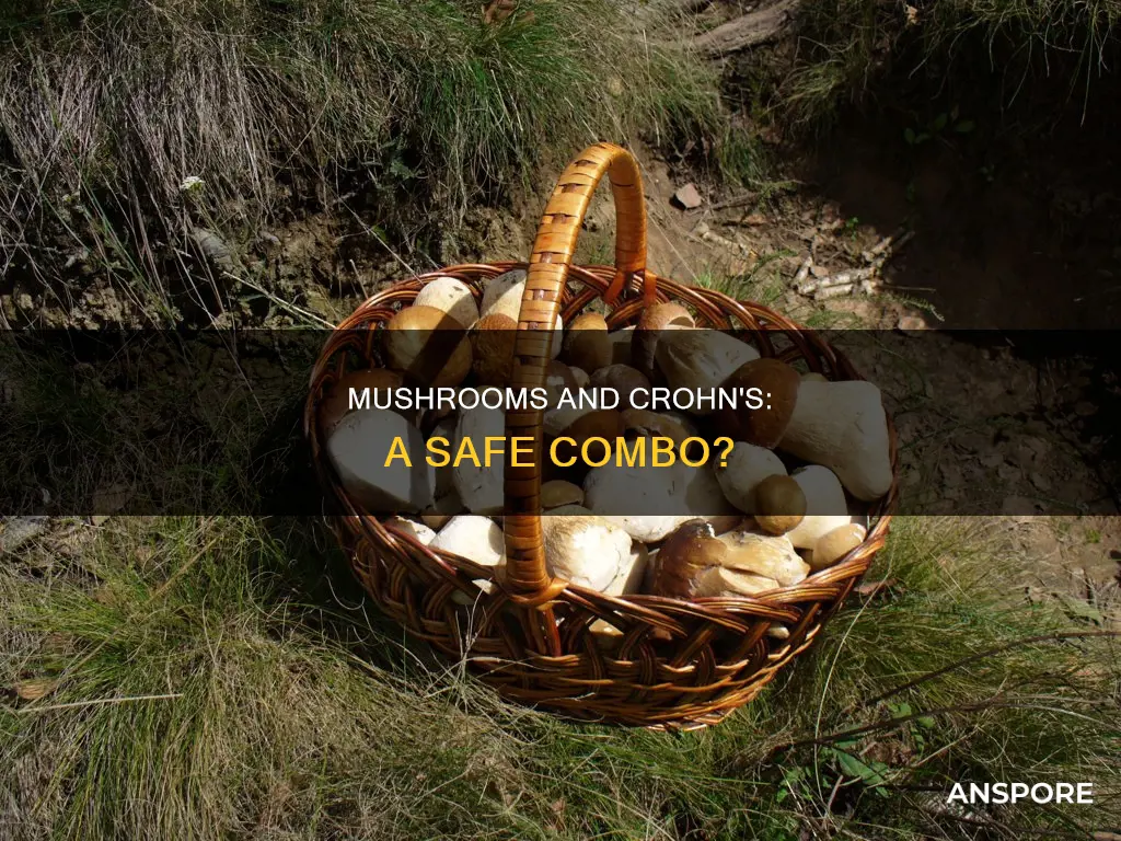 are mushrooms okay for crohns