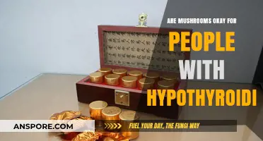Mushrooms and Hypothyroidism: A Safe Combination?