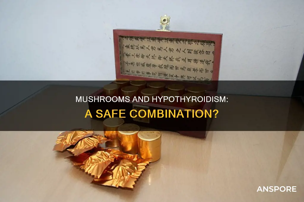 are mushrooms okay for people with hypothyroidism