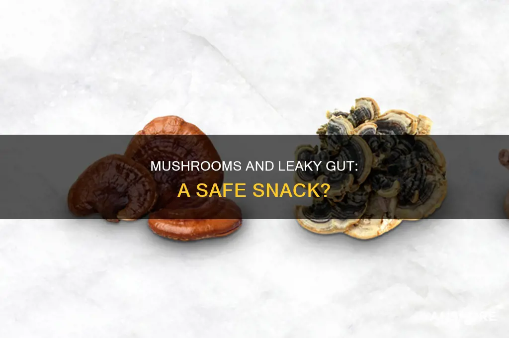 are mushrooms okay for people with immune leaky gut