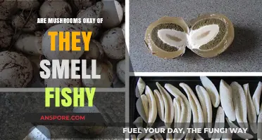 Mushroom Safety: Fishy Smell, Safe to Eat?