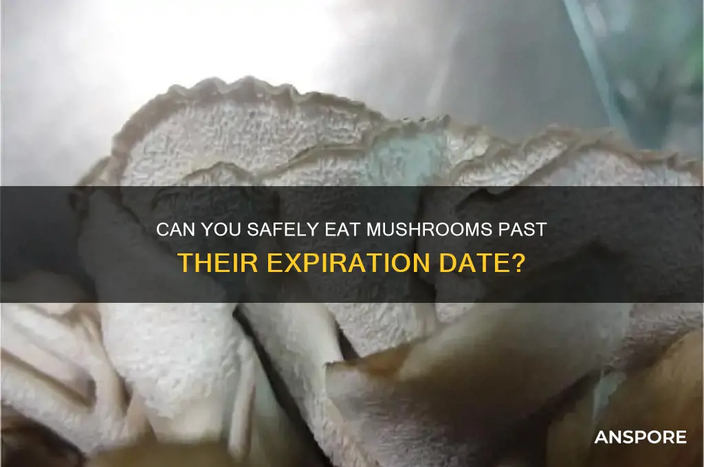 are mushrooms okay to eat after expiration date