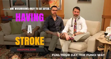 Mushrooms Post-Stroke: Safe or Risky for Recovery Diets?