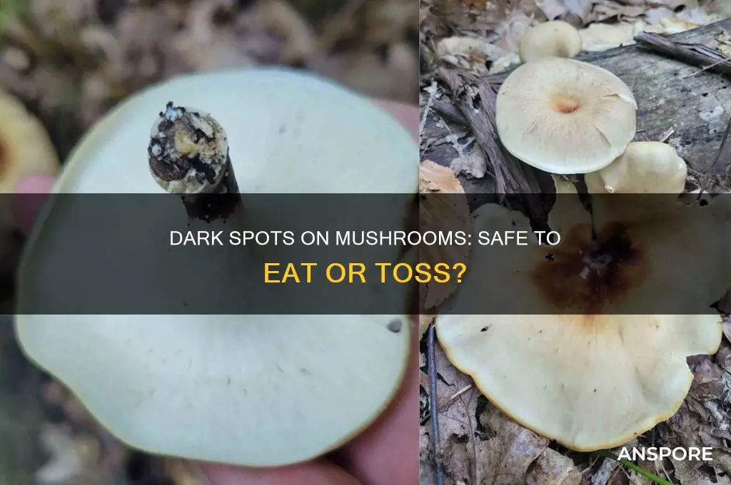 are mushrooms okay to eat if they have dark spots