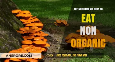 Non-Organic Mushrooms: Safe to Eat or Health Risk?