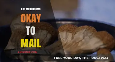 Mushrooms: Safe to Mail or Not?