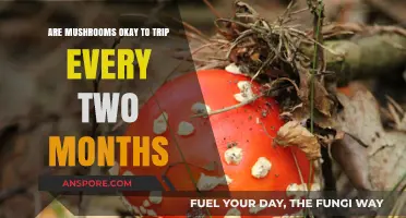 Tripping Safely: Mushroom Usage and You