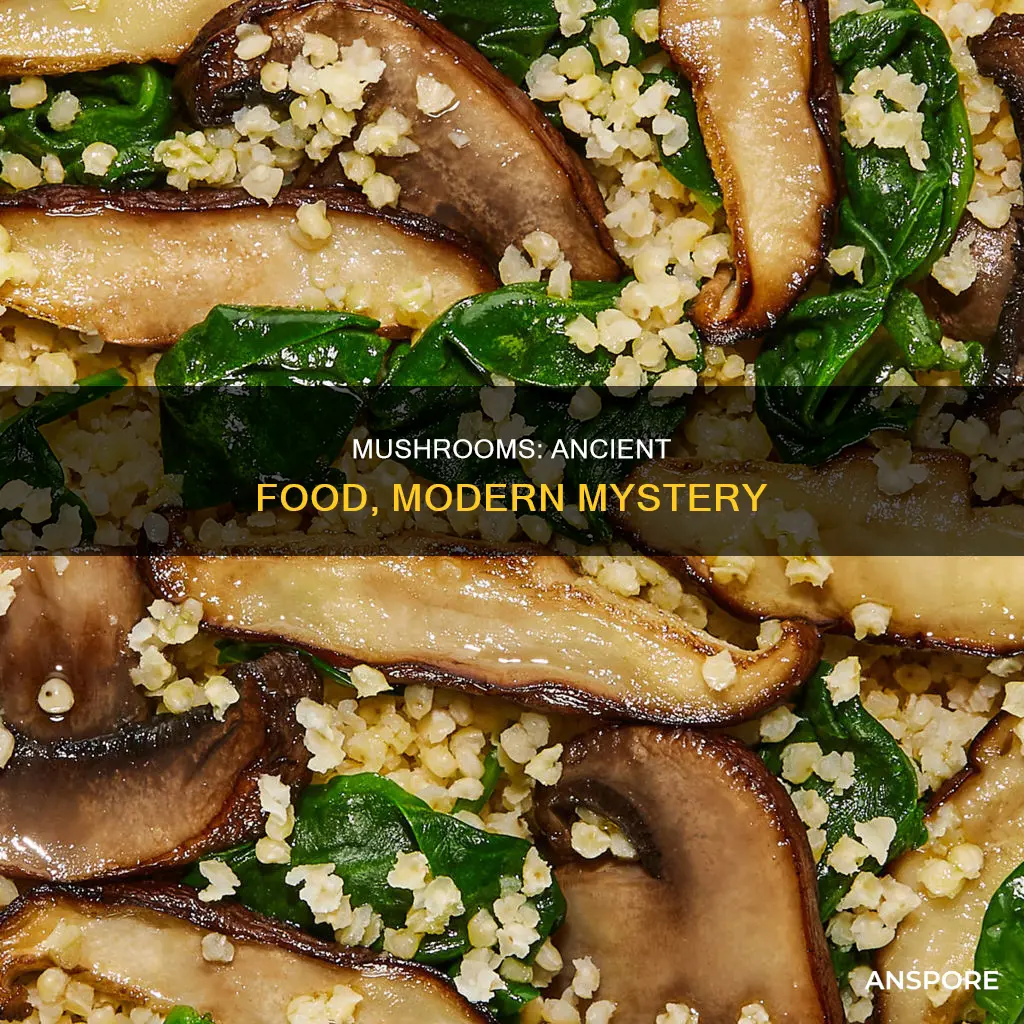 are mushrooms old world food