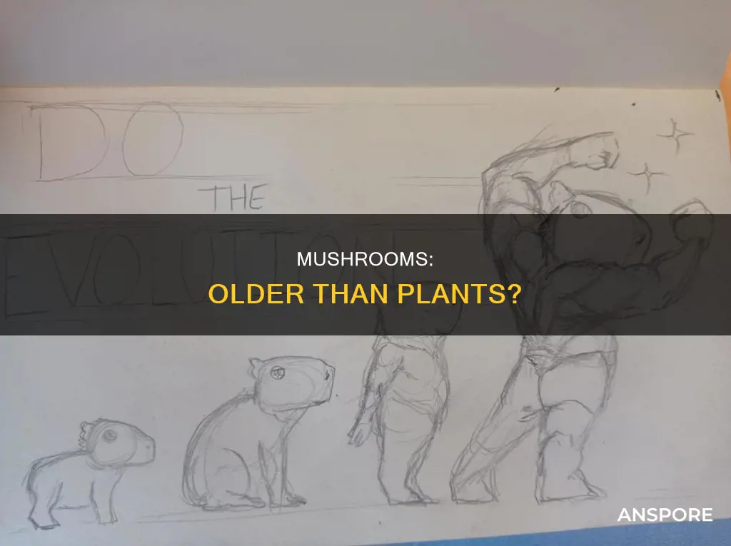 are mushrooms older than plants