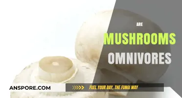 Mushrooms: Omnivores or Not?